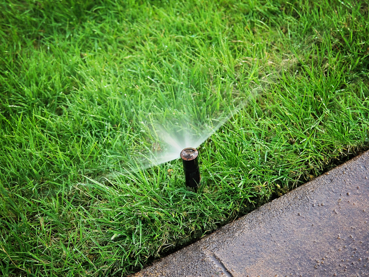 Sprinkler System Repair Waite Park, MN St. Cloud Sprinkler CO.